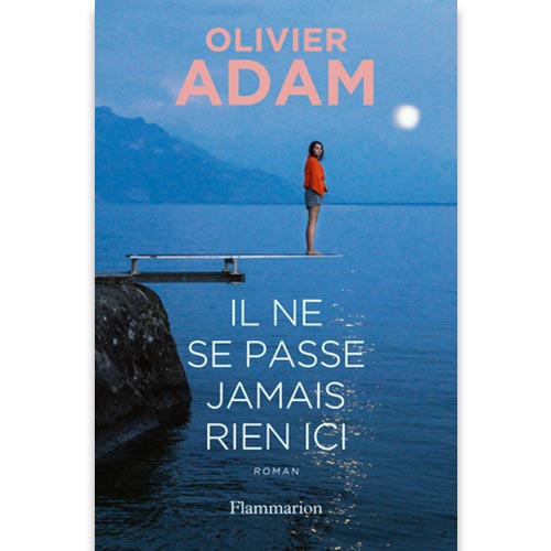 olivier-adam-il-ne-se-passe-jamais-rien-ici